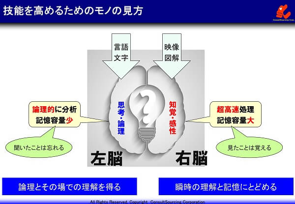 左脳と右脳のイメージ