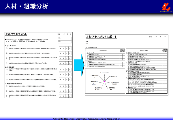 人材調査のアセスメント事例