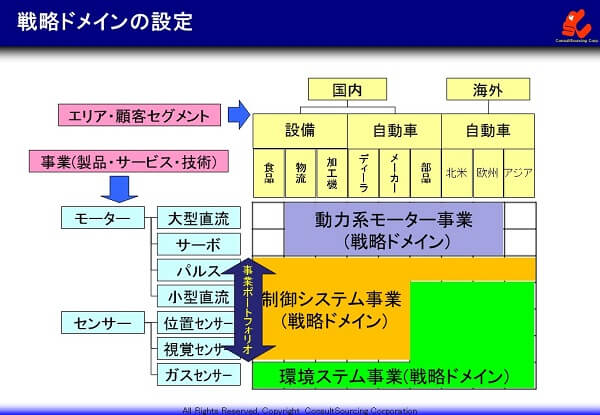 戦略ドメインの設定事例